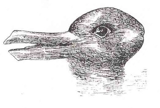 The duckrabbit